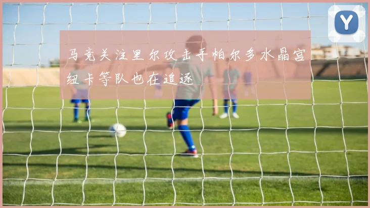 马竞关注里尔攻击手帕尔多水晶宫纽卡等队也在追逐